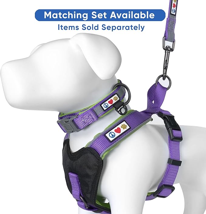 Pawtitas Personalized Purple Dog Leash 6 ft Custom ID Lead for Dogs & Puppies Reflective Comfortable Padded Handle Embroidered Name & Phone Number