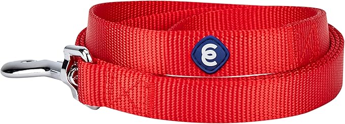 Blueberry Pet Essentials Rouge Red Dog Leash for X-Small -5' * 3/8" Dogs | Heavy Duty Nylon Lead | Lightweight Puppy & Cat Leash for Walking & Training