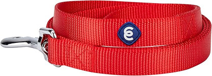 Blueberry Pet Essentials Rouge Red Dog Leash for X-Small -5' * 3/8" Dogs | Heavy Duty Nylon Lead | Lightweight Puppy & Cat Leash for Walking & Training