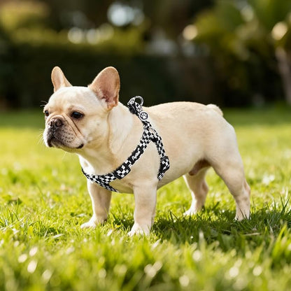 PUPTECK No Pull Dog Harness Soft Adjustable Basic Nylon Step in Puppy Vest Outdoor Walking with ID Tag, Checkered Black&White, M