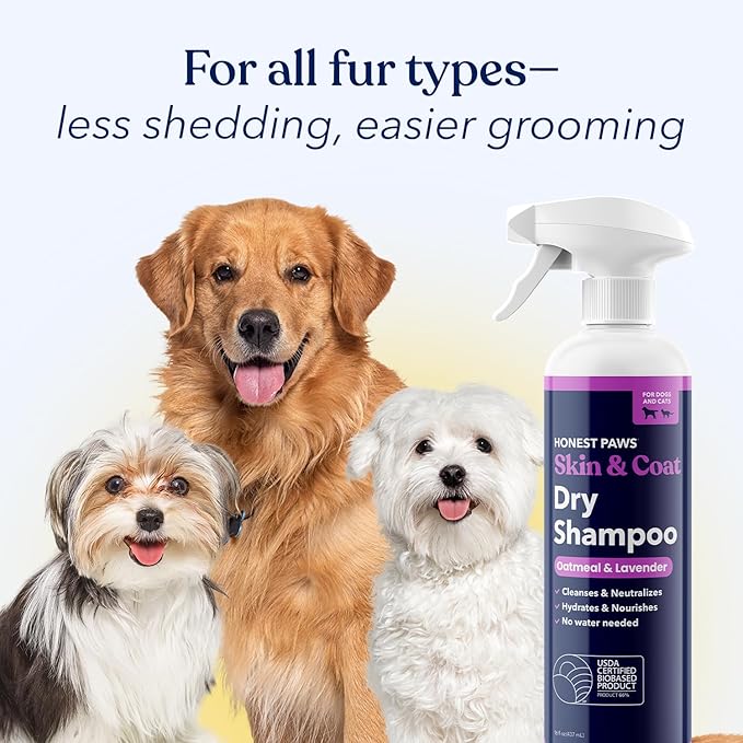 Honest Paws Dog Dry Shampoo - Waterless No Rinse Spray Formula Reducing Itch Cleanse Hydrate Nourish Dry Skin and Smelly Coat Help Decrease Odor Shedding and Allergies - Oatmeal & Lavender - 16 oz