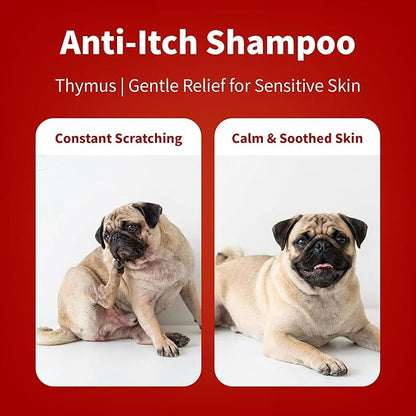 Arf Arf Oatmeal Dog Shampoo for Itchy Skin and Allergies - Soothing Oatmeal Formula Provides Anti Itch Relief for Dry, Sensitive Skin - Hypoallergenic Calming Wash for All Breeds - 16oz