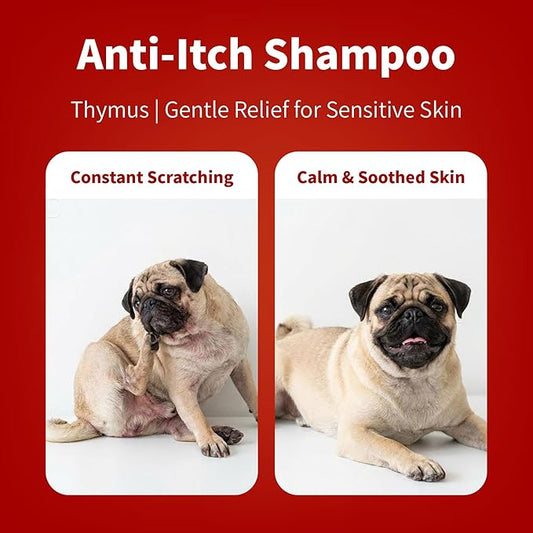 Arf Arf Oatmeal Dog Shampoo for Itchy Skin and Allergies - Soothing Oatmeal Formula Provides Anti Itch Relief for Dry, Sensitive Skin - Hypoallergenic Calming Wash for All Breeds - 16oz