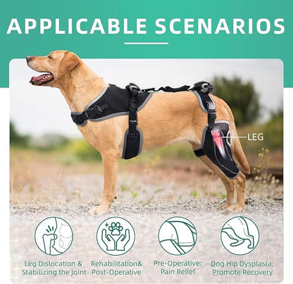 Dog Knee Brace for ACL/CCL Injuries,Torn Ligament,Pain Relief,Joint Warmth,Luxating Patella - Rear Leg Support,Black,Upgraded,Left Legs,(Size:XL)