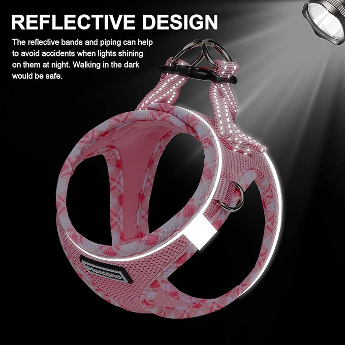 Mercano Soft Mesh Dog Harness and Leash Set, No-Chock Step-in Reflective Breathable Lightweight Easy Walk Vest Harnesses with Safety Buckle for Small Dogs, Cats (Pink, M)