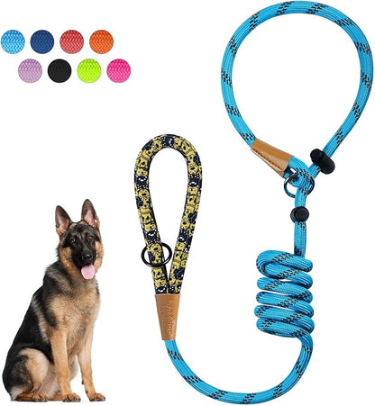 lynxking Slip Lead Dog Leash Reflective, Heavy Duty Comfortable Strong Rope for Large Medium Small Dogs No Pull Pet Training (Light Blue, 2PCS Large 1/2in x 6ft)