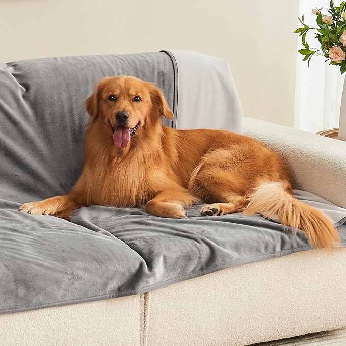 Yaning Waterproof Blanket 60"x80" for Adults, Reversible Waterproof Bed Cover for Dogs Cats Pets, Soft Leakproof Blanket for Bed Couch Sofa Furniture Protector, Grey/Light Grey
