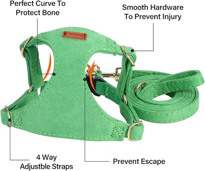 No Pull Dog Harness- Lightweight, Soft, Adjustable Small Harness Collar and Leash Set, Suitable for Cats Puppy Small and Medium-Sized Dog Outdoor Training and Running (Green, S)