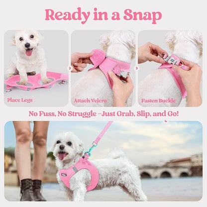 rabbitgoo Dog Harness Small Medium Sized and Leash Set, Step in Soft Light Puppy Vest, Breathable Mesh Pet Harness, Reflective for Safe Easy Walking, Light Pink XL