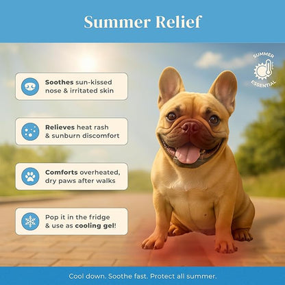petora] PAWFECT Comfort Soothing Jelly Serum for Dogs & Cats | Fast Relief for Dry, Cracked Paws, Hot Spots & Itchy Skin | Certified KAPQA Animal Safety & Efficacy | Pump Dispenser Mess-Free