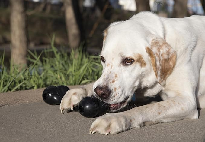KONG - Extreme Goodie Bone - KONG's Most Durable Natural Rubber Dog Bone for Power Chewers - Black - For Large Dogs