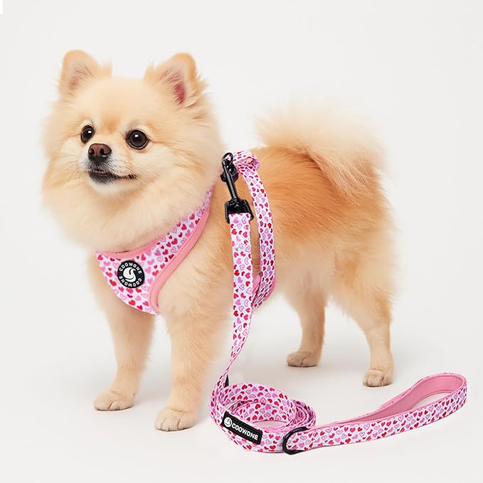 Dog Harness and Leash Set, Adjustable Dog Harness, Dog Leash, No Pull No Choke Puppy Harnesses for Walking Training for Small, Medium Pet (Little Love, M(Chest 17.7-23.1", Neck 13.4-16.4"))