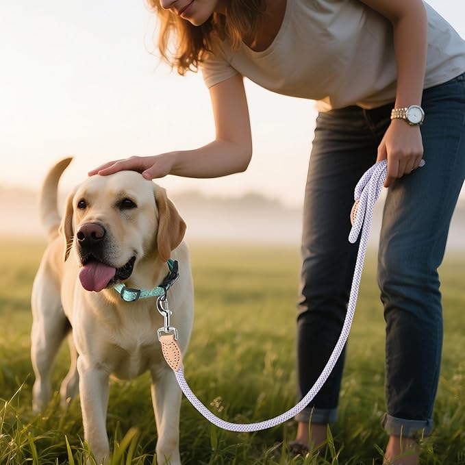 Mile High Life Rope Leash with Genuine Leather Connection, 6 FT/5 FT/4 FT, Heavy Duty Leash for Small Medium & Large Dogs (Purple,72 Inch)