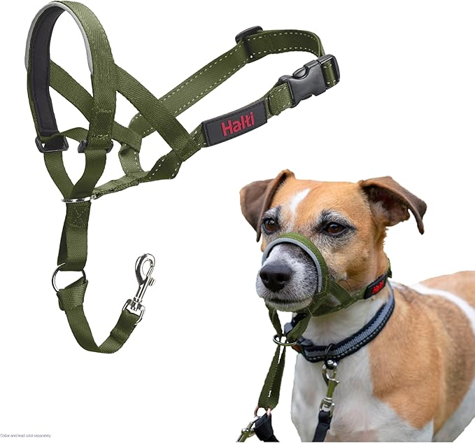Halti Headcollar - Stop Your Dog Pulling on The Leash. Adjustable, Reflective and Lightweight, with Padded Nose Band. Dog Training Anti-Pull Collar for Small Dogs (Size 1, Forest Green)
