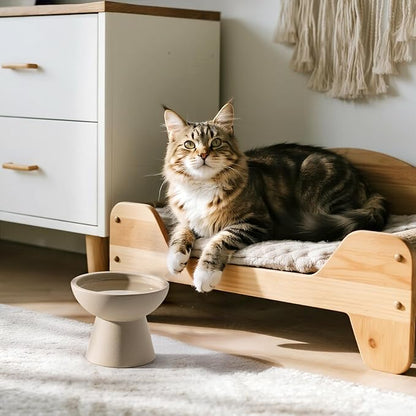 CEEFU 2 Elevated Cat Bowls Extra Wide for Food & Water – Whisker Fatigue, Ceramic Wide Shallow Food Dish, Lead & Cadmium Free, Raised Height for Cats, Pottery Clay (Not Glazed)