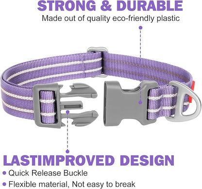 Tacwild Adjustable Reflective Dog Collar, Puppy Collar with D-Ring Buckle - Durable Safety Nylon Dog Collars for Small Dogs (Purple-S)