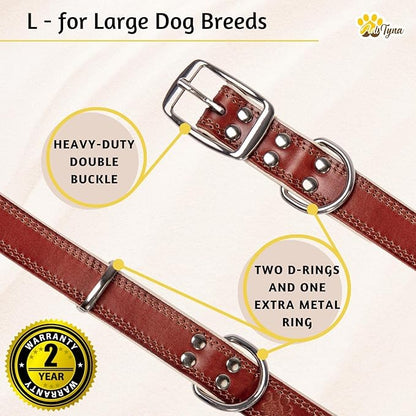 ADITYNA Heavy-Duty Leather Dog Collar for Large Dogs - Soft Padded for Comfort - Large Dog Collar for Walking, Training, and Hiking