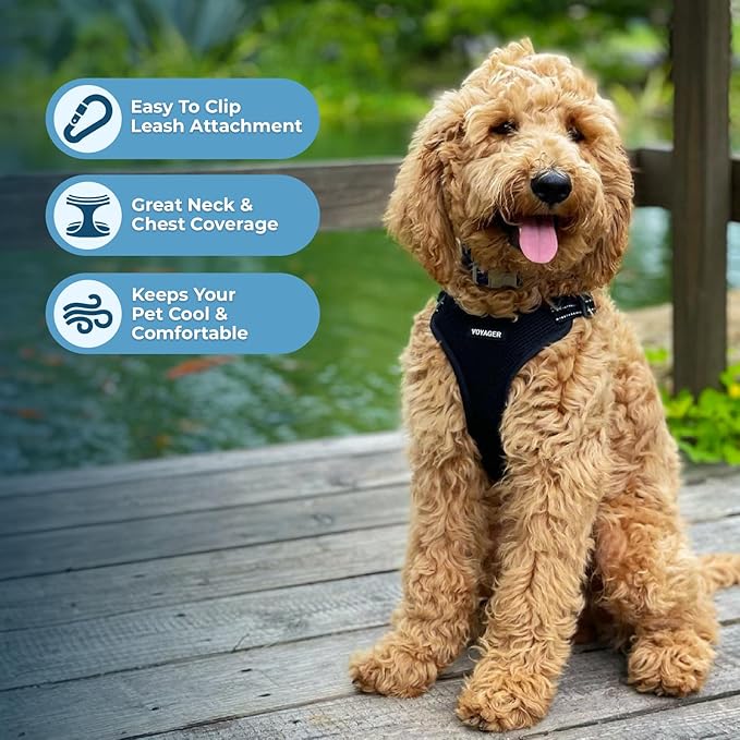 Best Pet Supplies Voyager Adjustable Step-in Flex Breathable Mesh Dog Harness for Small Medium Large Dogs (Black), L