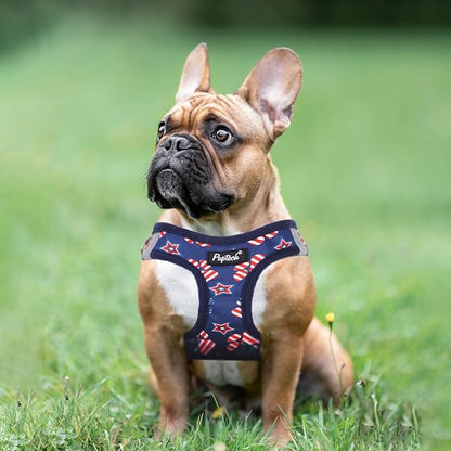 PUPTECK Dog Harness and Leash Set for Small Medium Dogs No Pull Step-in Soft Mesh Puppy Cat Vest Harnesses Reflective at Night, Stars and Strips, Blue, M
