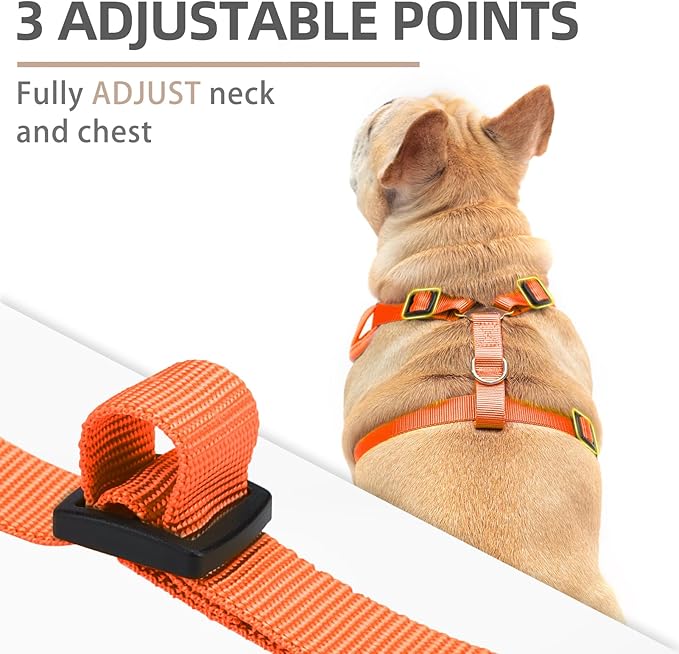 PUPTECK Halloween Small Dog Harness and Leash Set, No Pull Adjustable Puppy Cat Harness, Reflective Soft Mesh Pet Vest Small Sized, Pumpkin, S