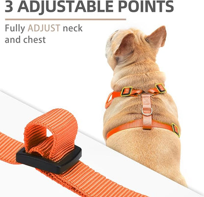 PUPTECK Halloween Small Dog Harness and Leash Set, No Pull Adjustable Puppy Cat Harness, Reflective Soft Mesh Pet Vest Small Sized, Pumpkin, M