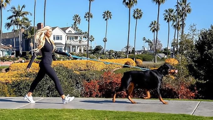 Shed Defender Shock Absorbing Bungee Leash - Three Padded Traffic Handles, Designed in The USA, Stretches 4-7ft, Elastic Dog Leash, Reflective Stitching, Large Dog & Small Breed, Heavy Duty, Black