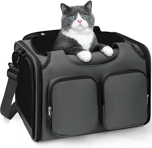 Dog, Cat Carrier for Pets Up to 15 Lbs, Airline Approved Collapsible Soft-Sided Pet Travel Bag with Locking Zippers, Breathable Mesh and 4 Large Pockets, Removable Fleece Pad (Dark Grey)