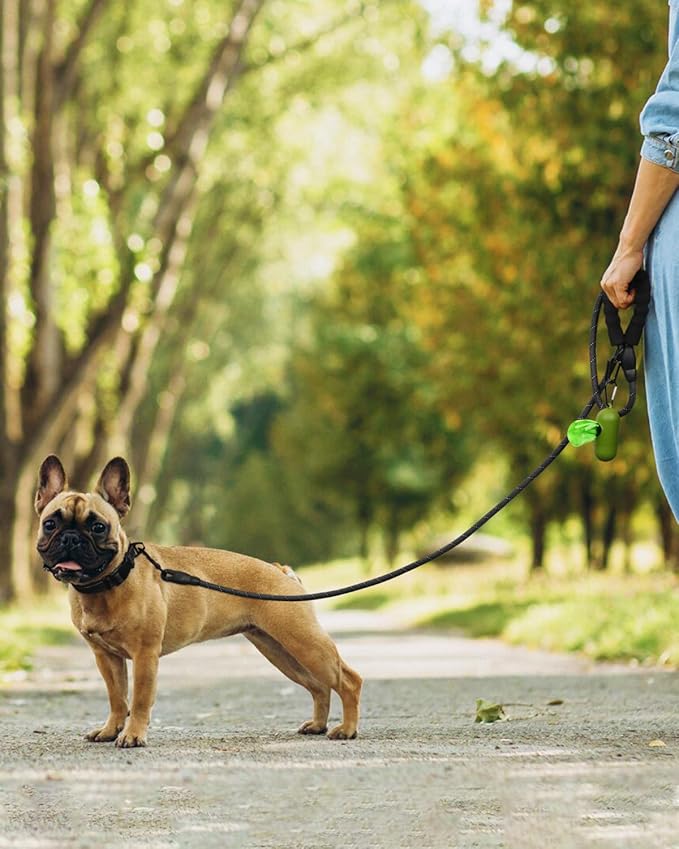 Dynmeow Reflective Dog Collar and Leash Set, 6FT Strong Climbing Rope Leash with Padded Handle, Adjustable Pet Collar with Soft Neoprene Padding for Small Medium Dogs, Black, S