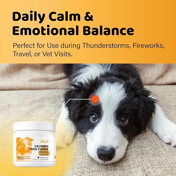 iPaw Calming Chews for Dogs, Calming Dog Treats, Separation Anxiety Relief Calming Care, Hemp-Free, All Natural Ingredients, Manage Everyday Stress for Puppy, Made in USA, Vegetable Flavor (50 Chews)