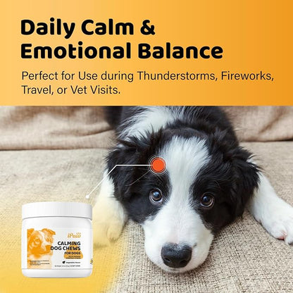 iPaw Calming Chews for Dogs, Calming Dog Treats, Separation Anxiety Relief Calming Care, Hemp-Free, All Natural Ingredients, Manage Everyday Stress for Puppy, Made in USA, Vegetable Flavor (50 Chews)