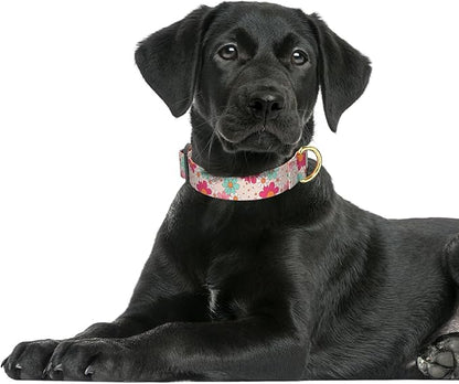 Rnivvi Dog Collar for Large Dogs, Cute Heavy Duty Adjustable Puppy Collar with Quick Release Buckle for Girl & Female, Pet Accessories for Walking Running, L Length 1" Width, Hand Drawn Flowers