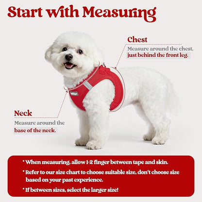 rabbitgoo Dog Harness Small Sized and Leash Set, Step in Soft Light Puppy Vest, Breathable Mesh Pet Harness, Reflective for Safe Easy Walking, Red M