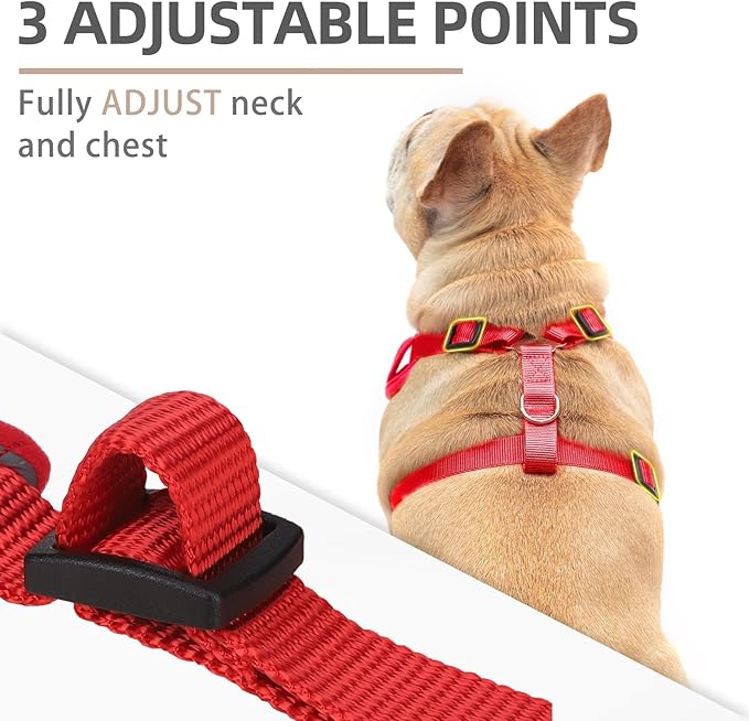 PUPTECK Small Dog Harness and Leash Set, No Pull Adjustable Puppy Cat Harness, Reflective Soft Mesh Pet Vest Small Sized, Red, M