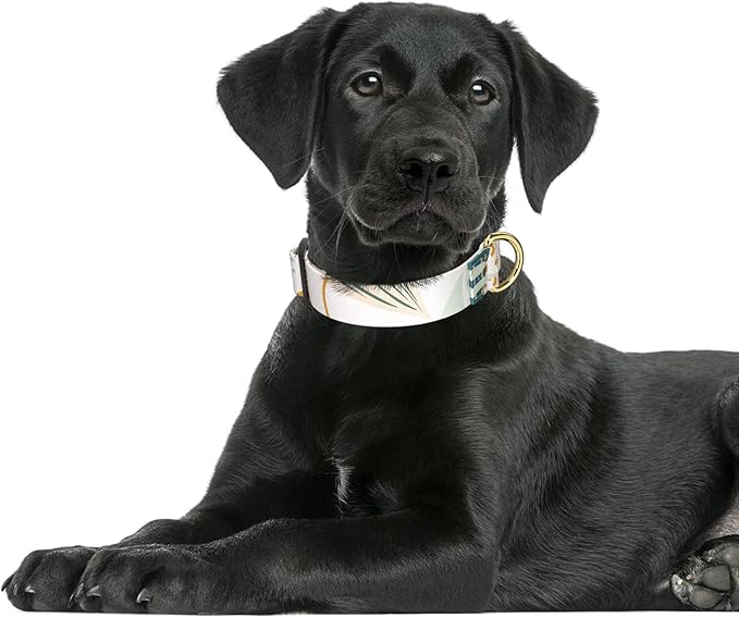 Rnivvi Dog Collar for Large Dogs, Cute Boho Heavy Duty Adjustable Puppy Collar with Quick Release Buckle for Girl & Female, Pet Accessories for Walking Running, L Length 1" Width, Tropical Leaves