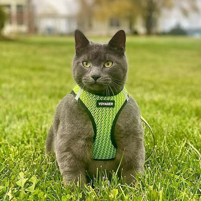 Best Pet Supplies Voyager Step-in Air Harness - All Weather Mesh, Reflective, No Pull Harness for Dogs, Cats - Secure with Hook & Loop Fastener, Buckle, Double D-Rings - Lime Green 2-Tone, XL