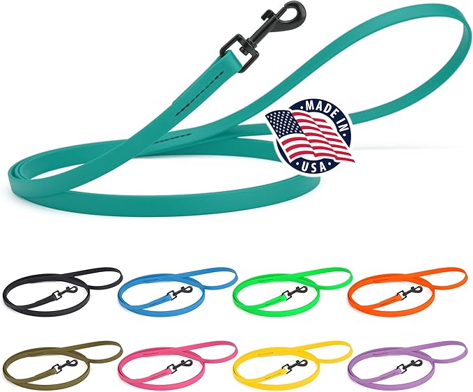 Dogline Biothane Waterproof Dog Leash Strong Coated Nylon Webbing with Black Hardware Odor-Proof Easy to Clean High Performance for Small or Large Dogs Made in USA 4 or 6 ft Lead, Blue Aqua