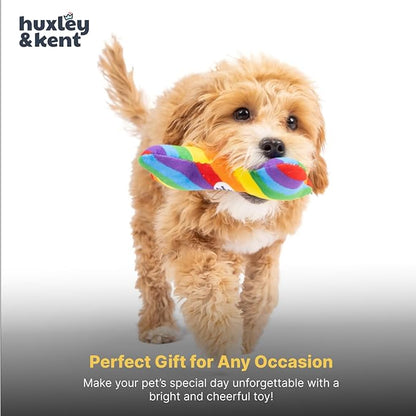 Huxley & Kent Funny Dog Toy w/Squeaker – Power Plush Squeaky Dog Toys for Small Dogs – Durable Small Stuffed Animal for Indoor Play & Fetch - Tiny Tuff Equality Bone
