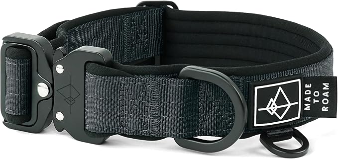 MADE TO ROAM Comfort Collar - Adjustable Nylon Dog Collar with Soft Comfortable Padding, Light Aviation Aluminum Metal Buckle for Small, Medium and Large Dogs (New York Afterlight, Size 5)