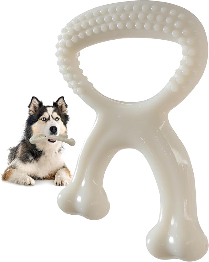 IPTPAS Durable Dog Chew Toy for Aggressive Chewers, Indestructible Nylon Bone Dental Care Teeth Cleaning Chew Toy for Small, Medium and Large Dogs, Keep Them Busy, Irresistible Beef Flavor (White)