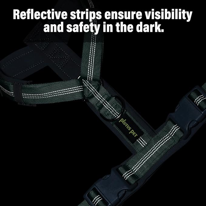 Plutus Pet No Pull Dog Harness, Adjustable Nylon Harness with Soft Padding, Reflective and Heavy Duty Dog Harness for Small, Medium, Large Dogs(Teal, M)
