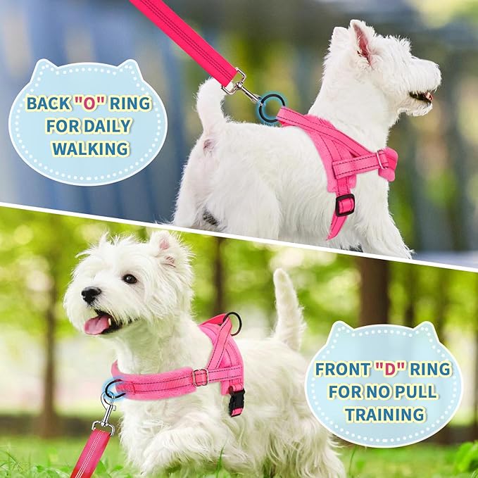 Lukovee No Pull Dog Harness and Leash Set, Soft Padded Small Dog Harness, Neck & Chest Adjustable Reflective Vest Puppy Harness with 4ft Lightweight Anti-Twist Dog Leash for Small Dogs (Pink, Large)