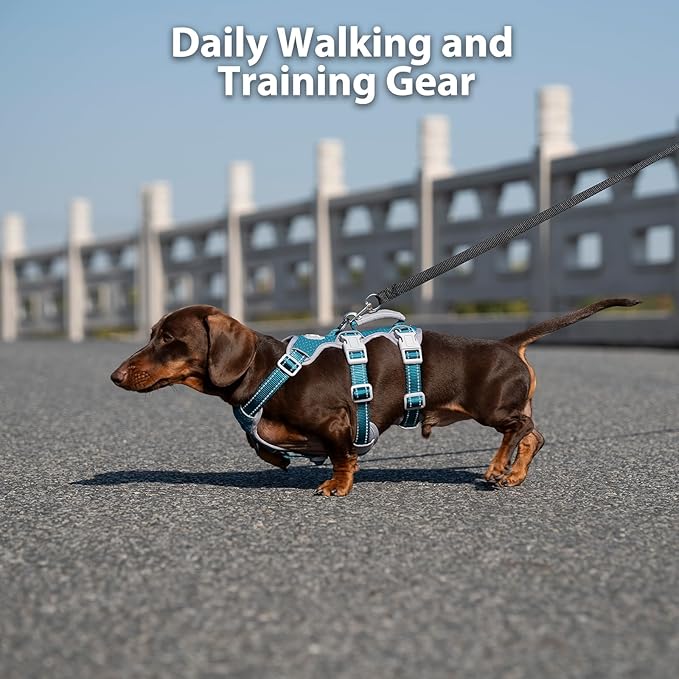 Huntboo Escape Proof Dog Harness, Escape Artist Harness, Fully Reflective Harness with Padded Handle, Breathable,Durable, Adjustable Vest for Medium Dogs Walking, Training, and Running Gear (Teal,XS)