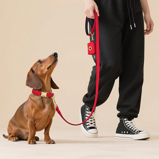Didog 5FT Colorful Nylon Dog Leash with Soft Full-Length Padding, Lightweight and Durable Pet Leash for Medium and Large Dogs, Red, M