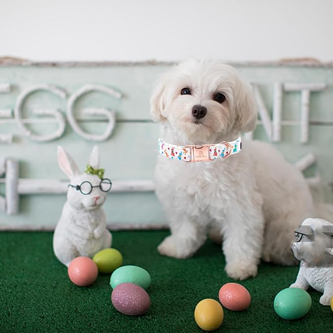 Lionheart glory Easter Collar Rabbit Print Dog Collar for Medium Cute Dog Collars Spring Female or Male Pet Gift Adjustable Heavy-Duty Dogs Collar Holiday
