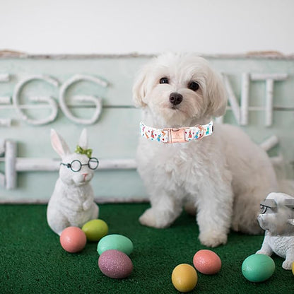 Lionheart glory Easter Collar Rabbit Print Dog Collar for Medium Cute Dog Collars Spring Female or Male Pet Gift Adjustable Heavy-Duty Dogs Collar Holiday