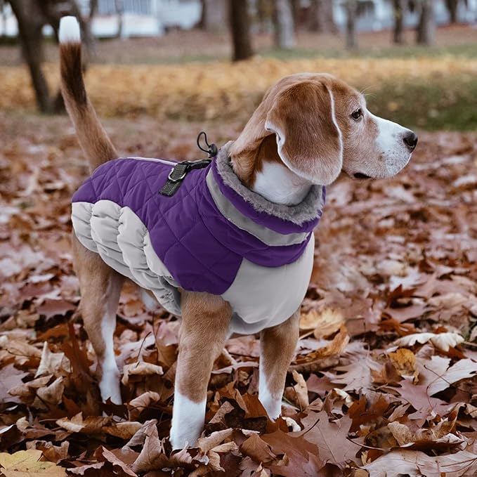 Lelepet Dog Coat Warm Dog Winter Coat Waterproof Dogs Jacket with Harness Built in Reflective Pet Fleece Vest Zip-Up Cold Weather Coats for Large Dogs Turtleneck & Windproof Coats Boxer Purple XL