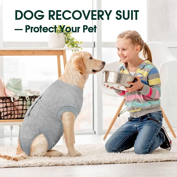 Kuoser Dog Recovery Suit for Male Dogs, Post-Surgery Bodysuit for Spay Neuter, Dog Onesie After Surgery, Anti-Licking Pet Surgical Recovery Suit, Gray L
