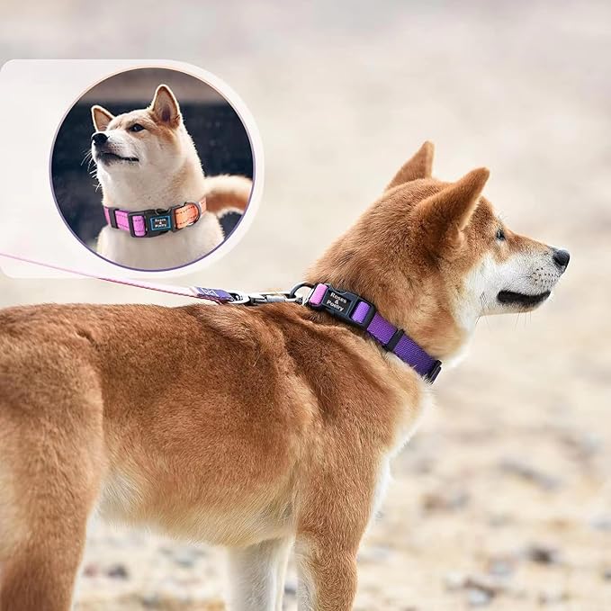 Roses&Poetry Reflective Dog Collar and Leash Set, Purple Martingale Dog Collar and Leash for Medium Dogs, Adjustable Durable Nylon Pet Collars with Leashes for Walking,Playing,Training（Mistyrose-M）