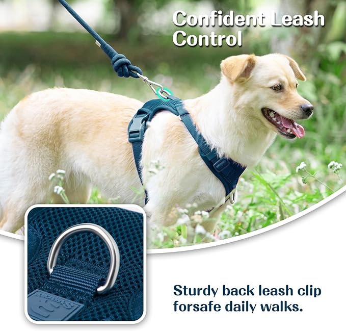 No Pull Dog Harness for Small Medium Large Dogs - Adjustable 2 Layer Mesh Dog Vest with Dual Clip, Escape Proof, Quick Release, Lightweight Breathable Mesh for Walking Hiking (Prussian Blue,XL)