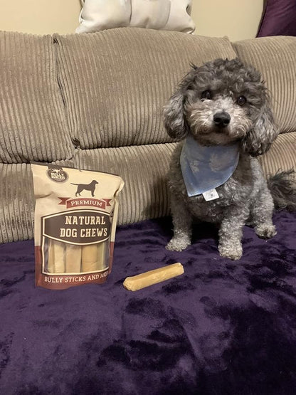 Bully Bunches Small Authentic Yak Cheese Himalayan Chews for Small Dogs & Puppies - All Natural Dog Treat Dental Chews, Made with Real Yak Milk for Teething - Lactose & Rawhide Free (6 Pk)
